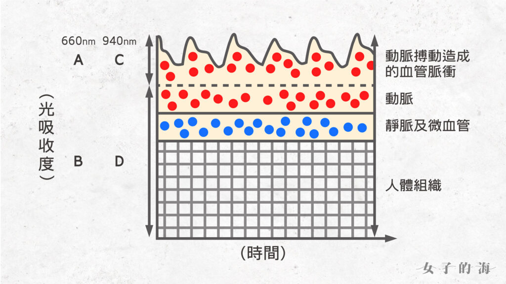 血氧計原理