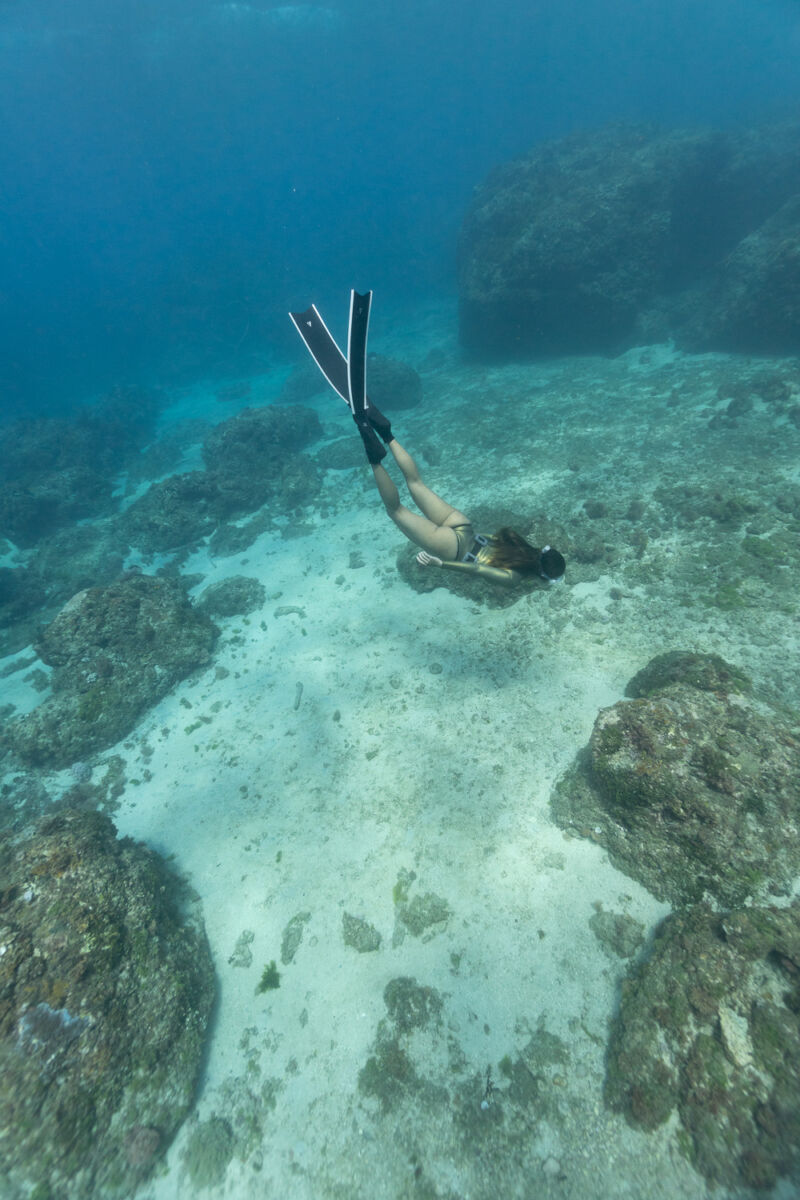 TRUDIVE TRUDIVE