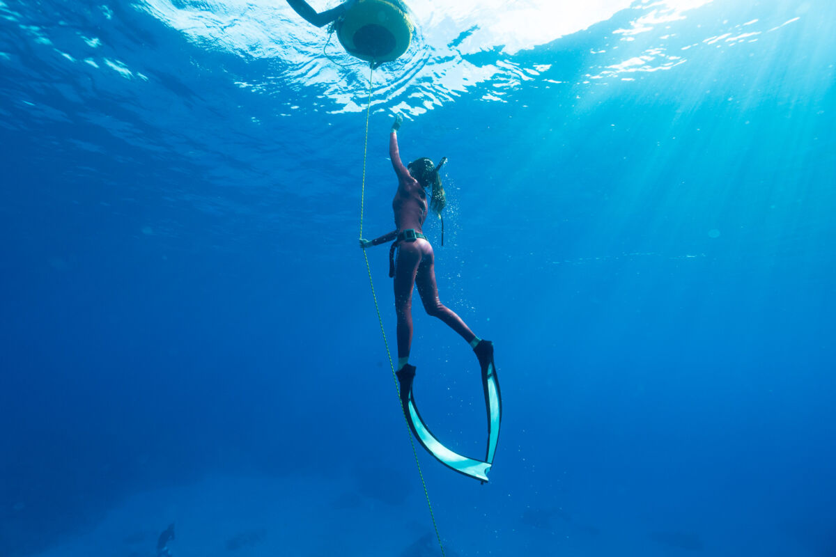 TRUDIVE TRUDIVE