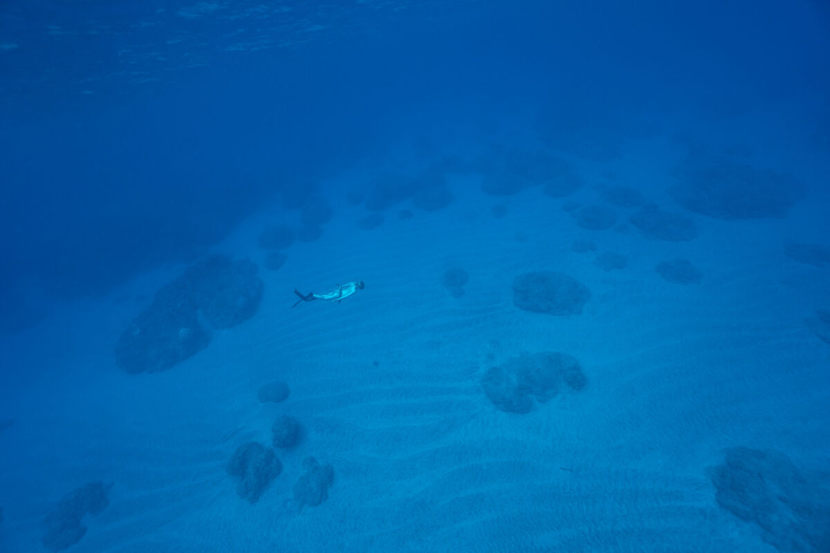 TRUDIVE TRUDIVE