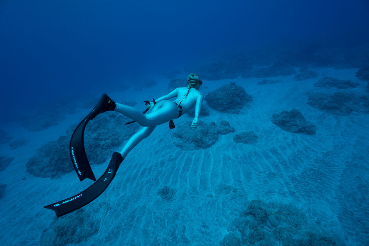 TRUDIVE TRUDIVE