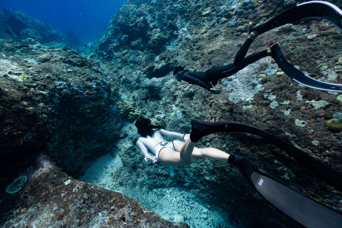 TRUDIVE TRUDIVE