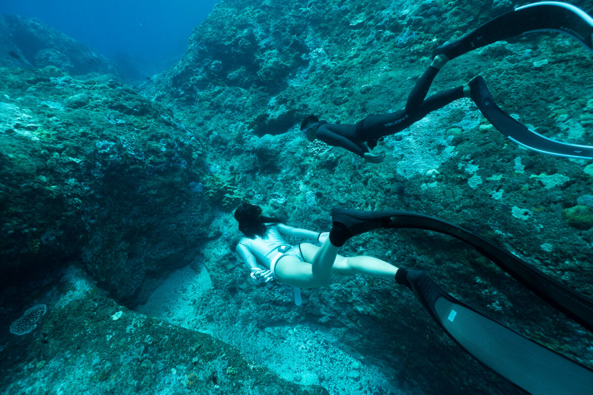 TRUDIVE TRUDIVE