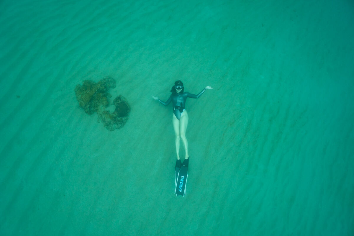 TRUDIVE TRUDIVE