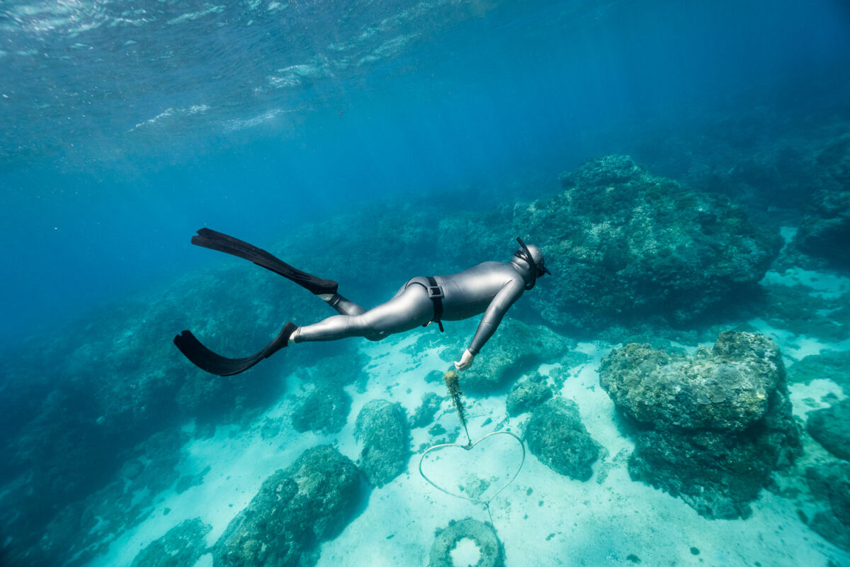 TRUDIVE TRUDIVE