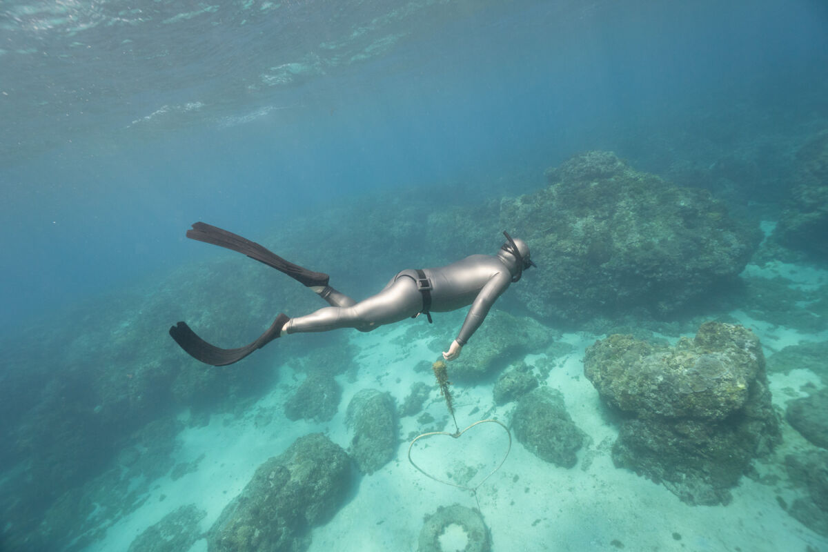 TRUDIVE TRUDIVE