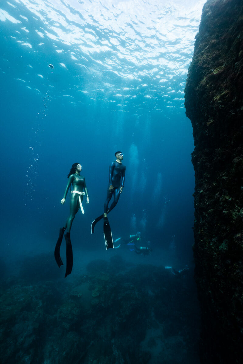 TRUDIVE TRUDIVE