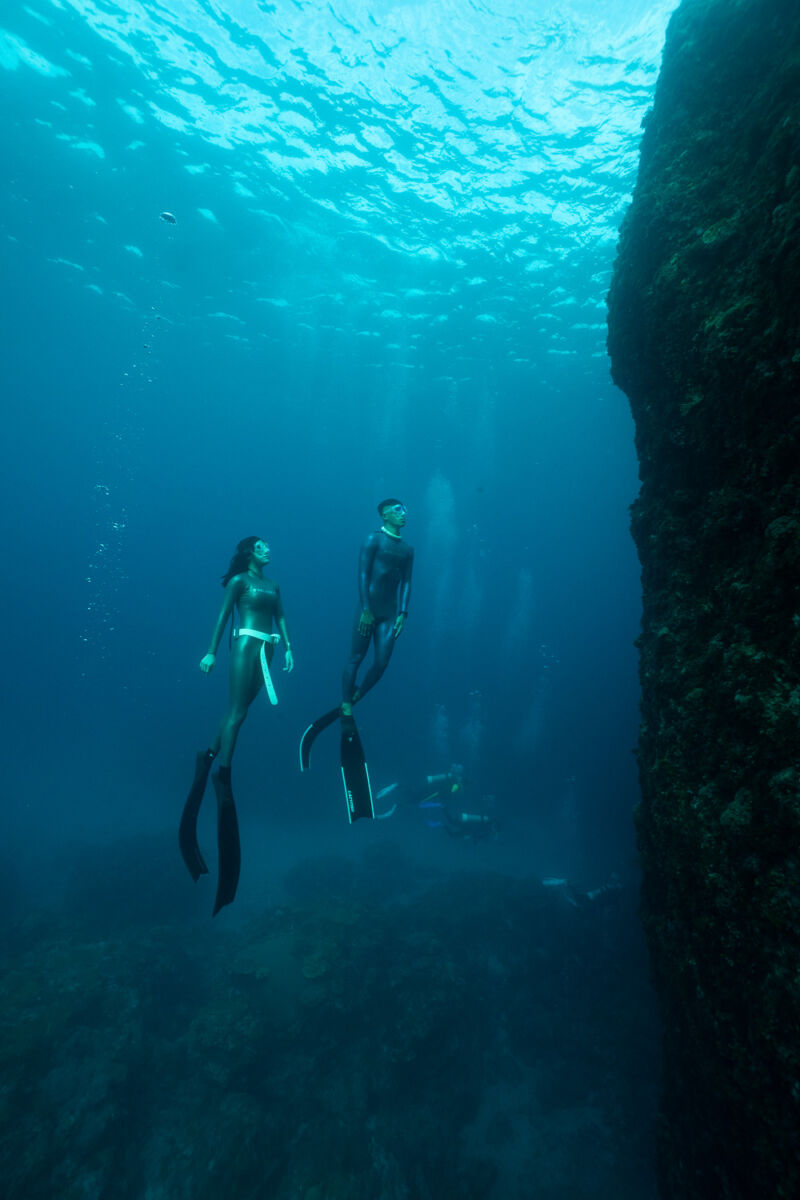 TRUDIVE TRUDIVE
