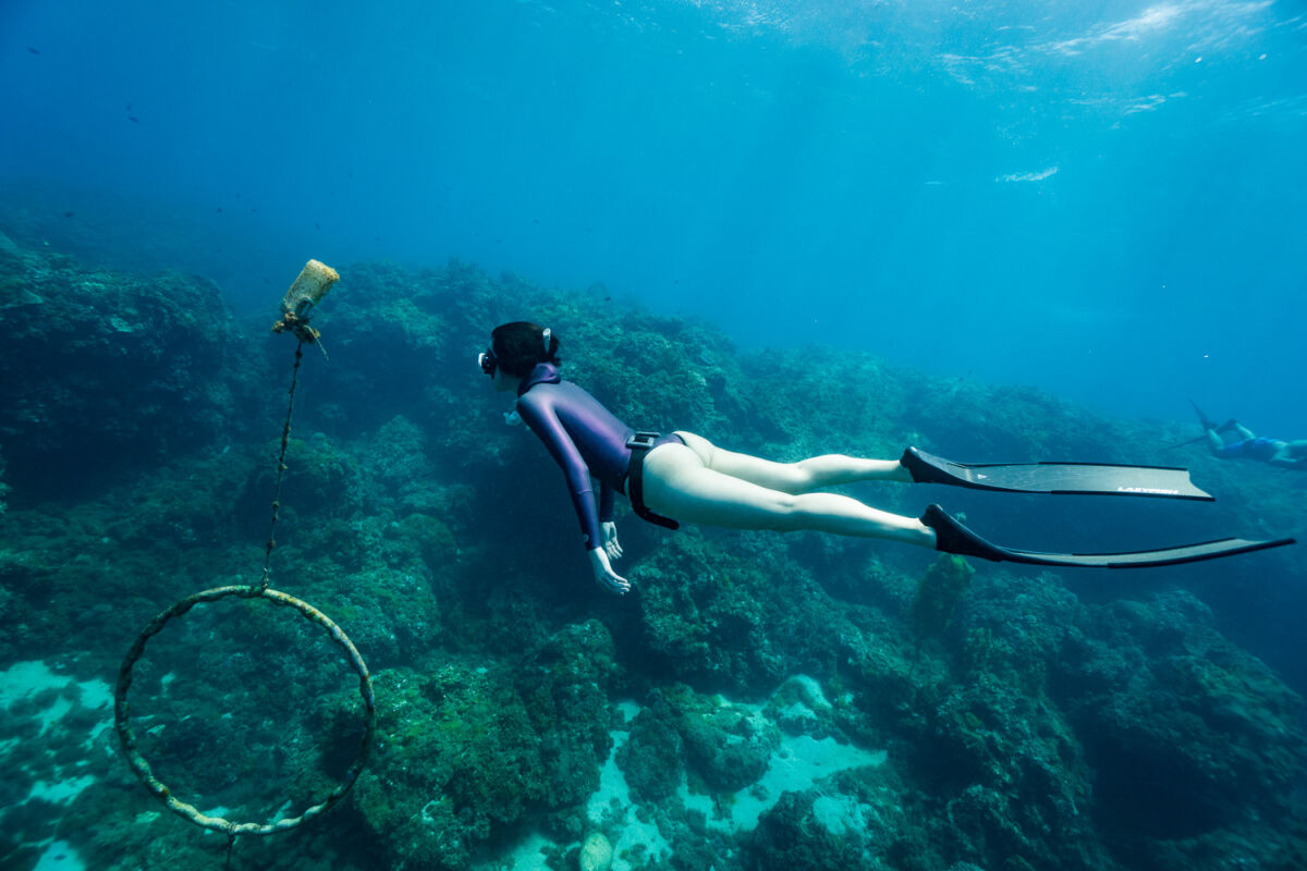 TRUDIVE TRUDIVE