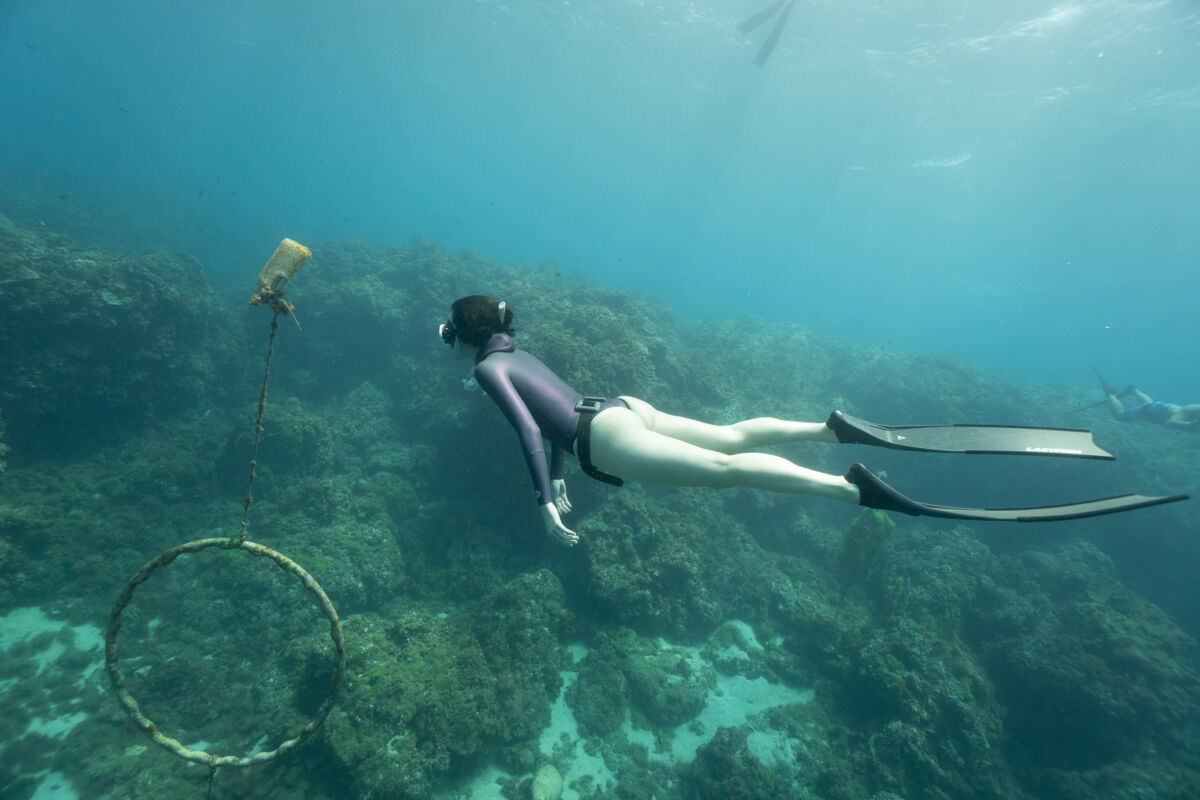 TRUDIVE TRUDIVE