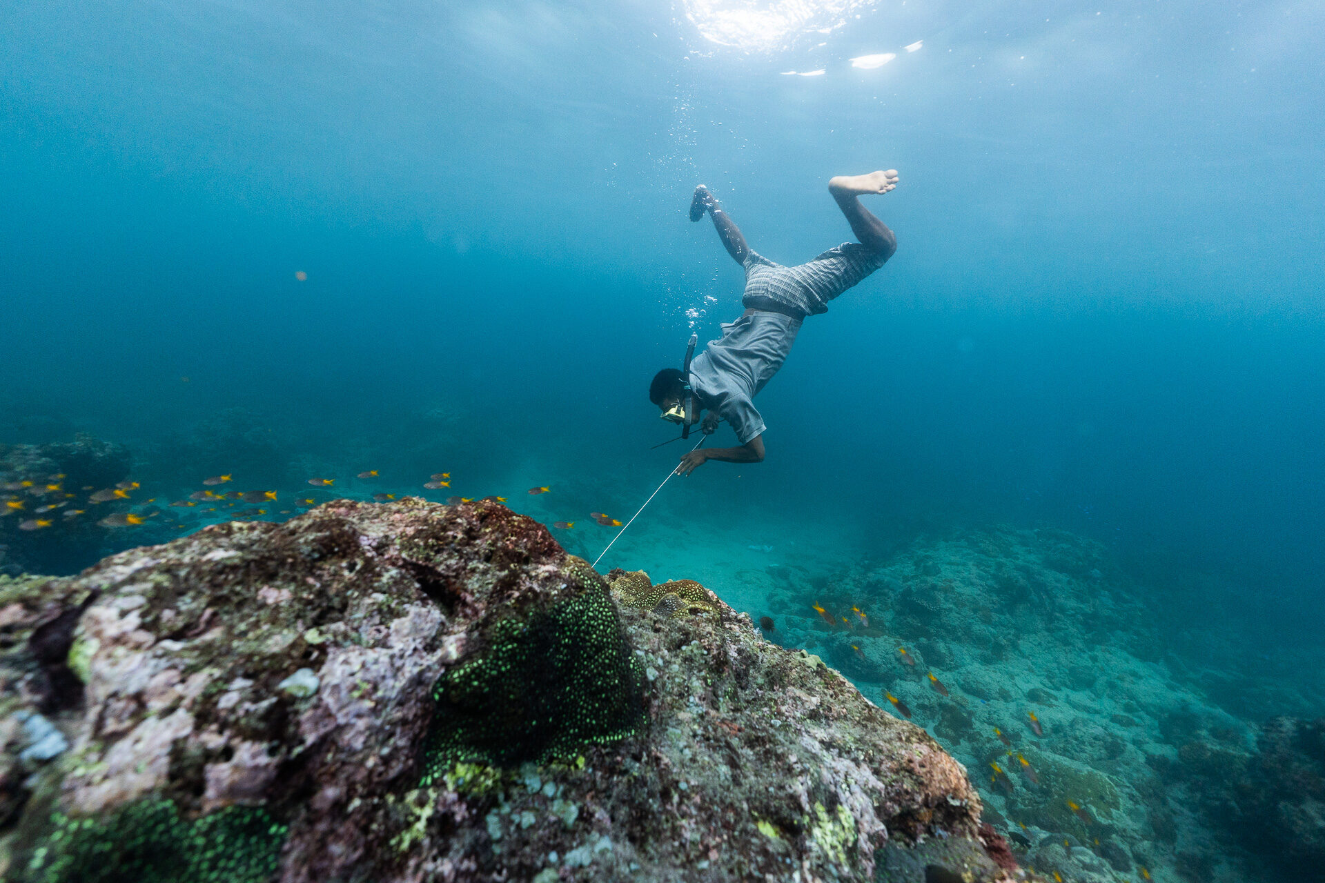 Lamalera Spearfishing