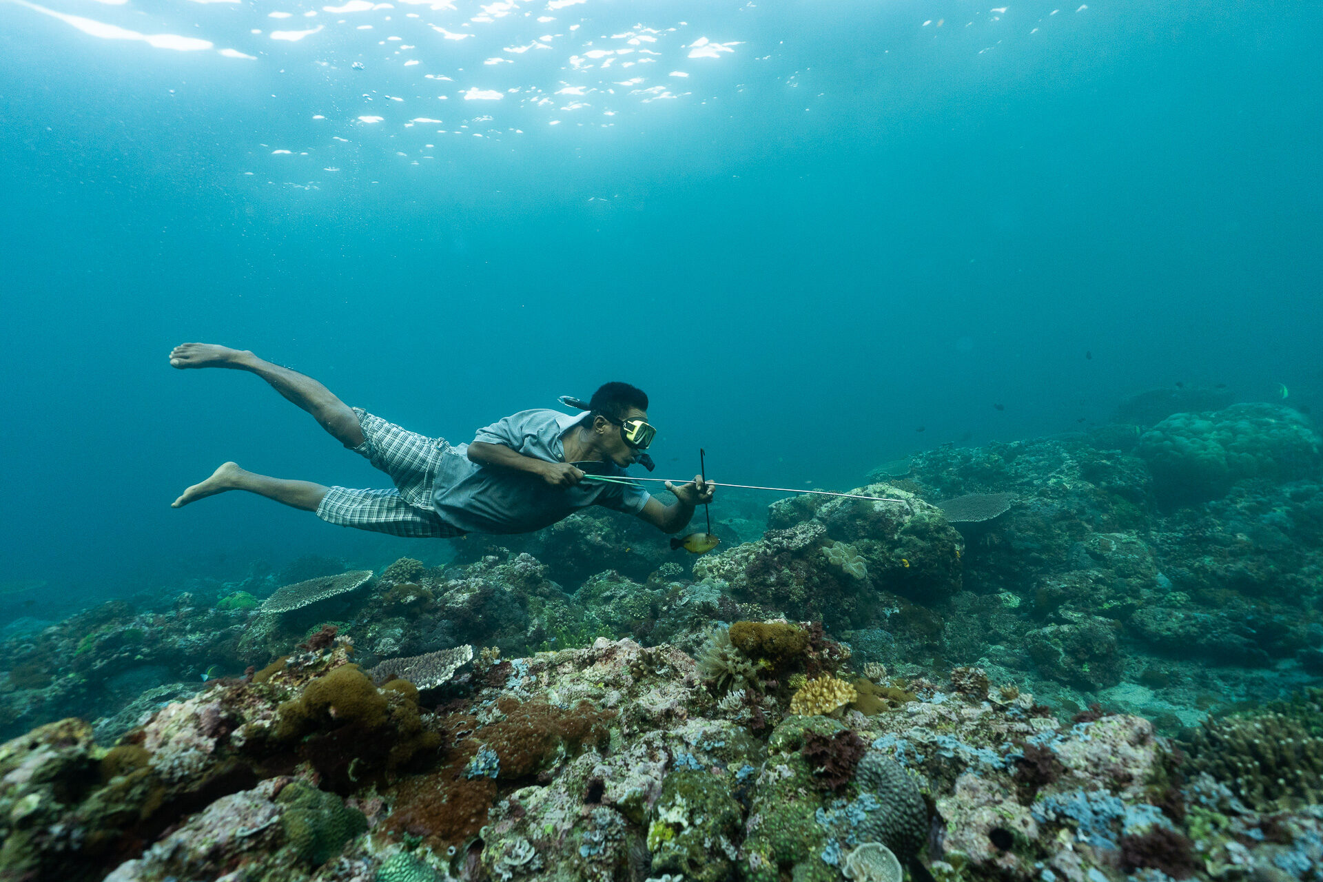 Lamalera spearfishing