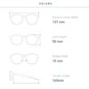 Eyeglad Solara 復古機能太陽眼鏡 | 偏光 (抗海水)