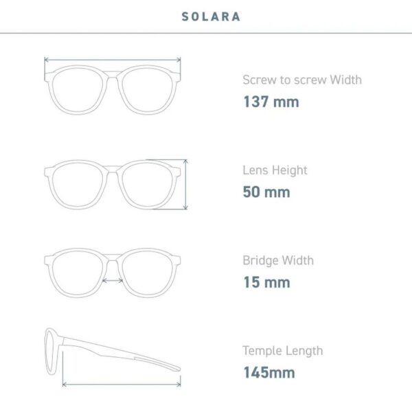 Eyeglad Solara 復古機能太陽眼鏡 | 偏光 (抗海水)