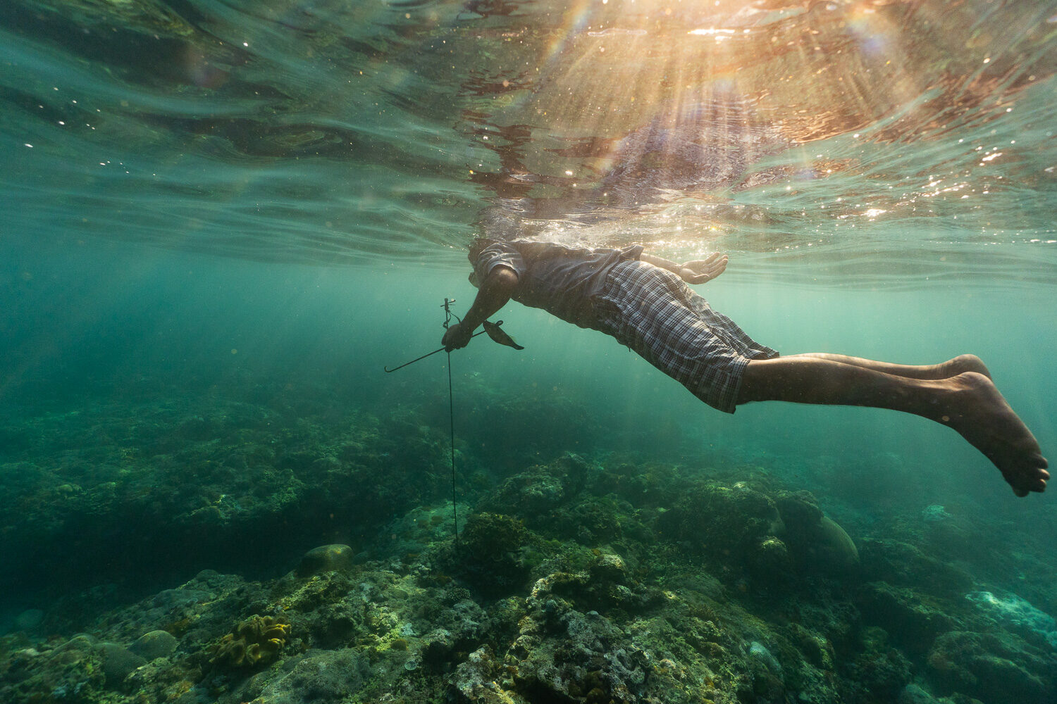 Lamarela spearfishing