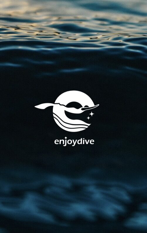 Enjoydive長鰓了