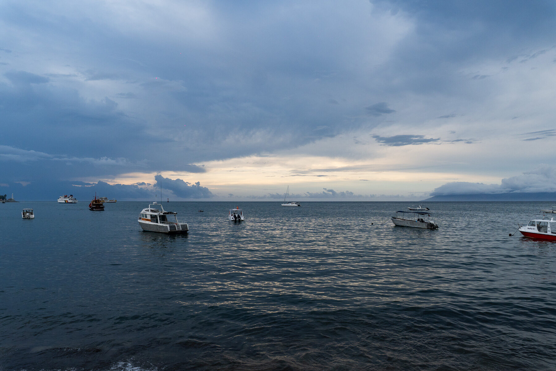 東帝汶藍鯨賞鯨船