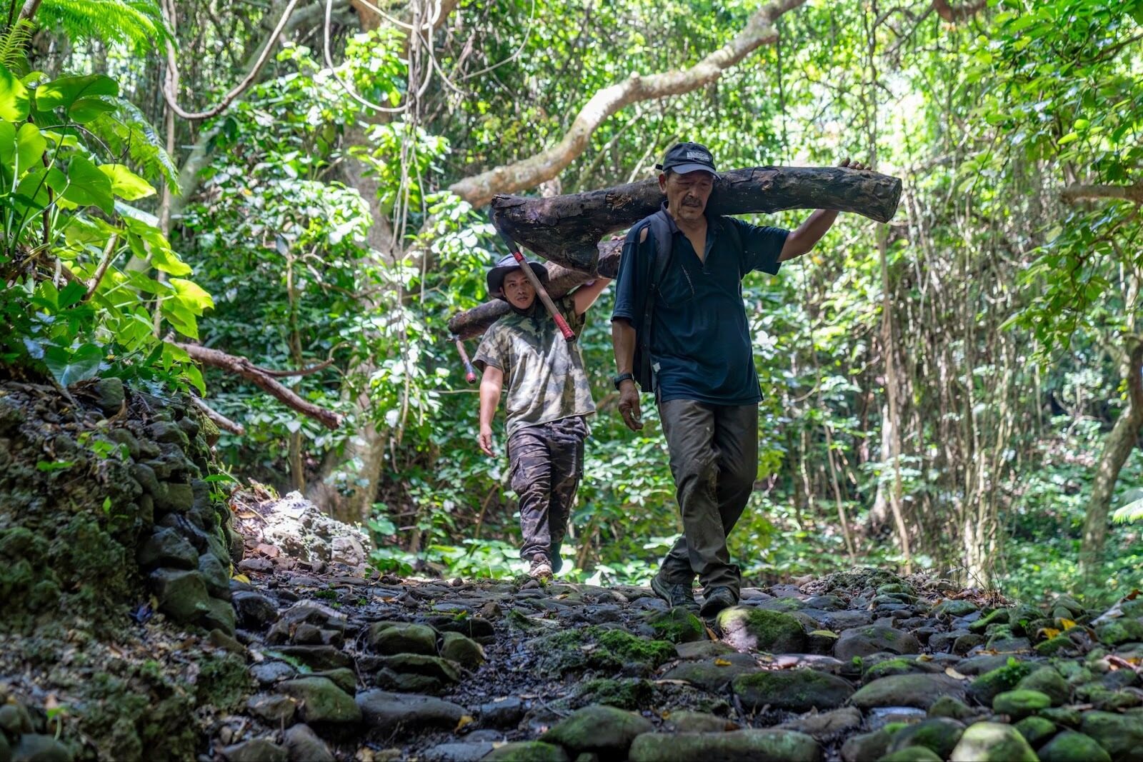 大海浮夢夏曼藍波安