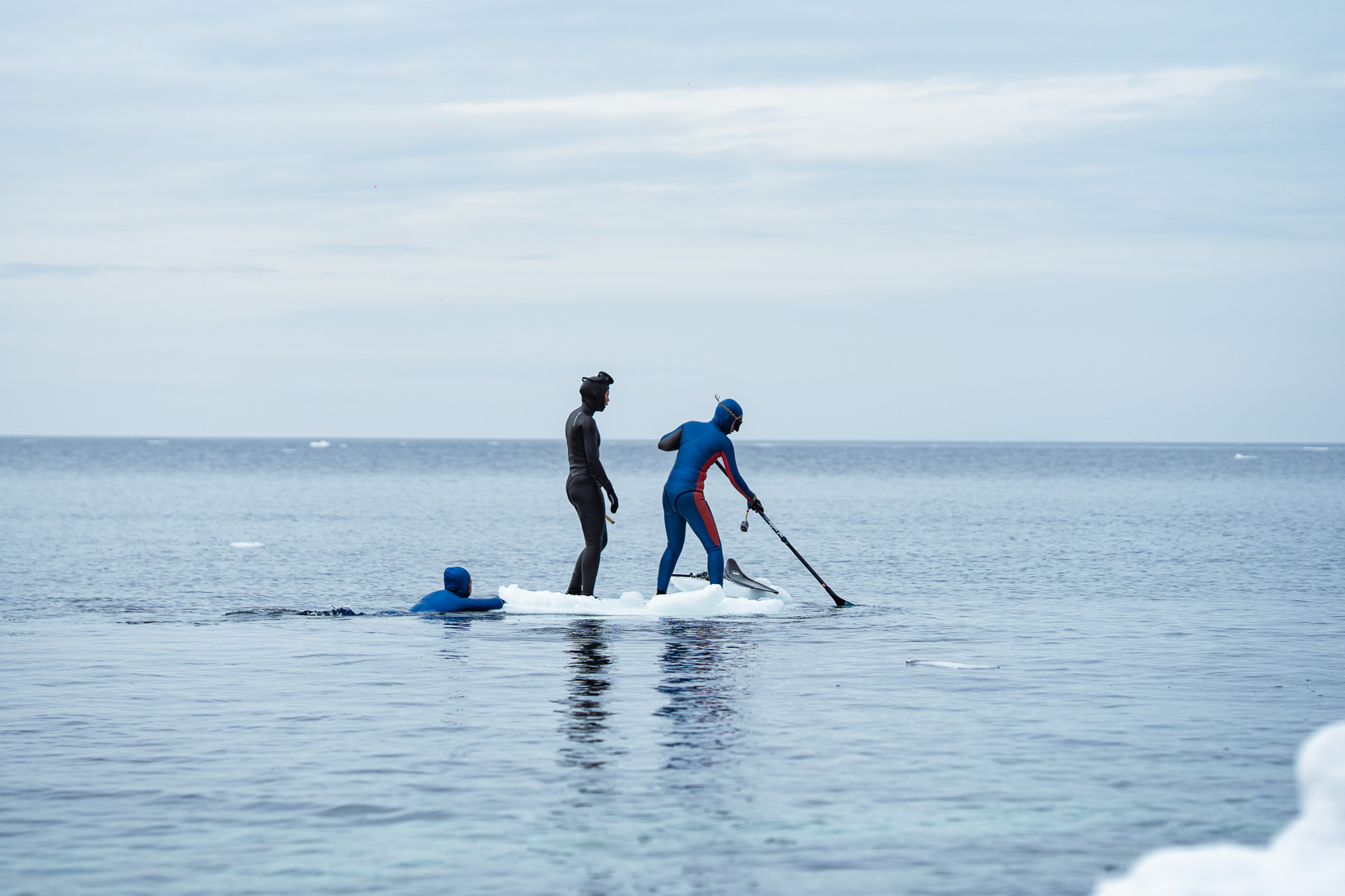 2026知床半島流冰冰潛
