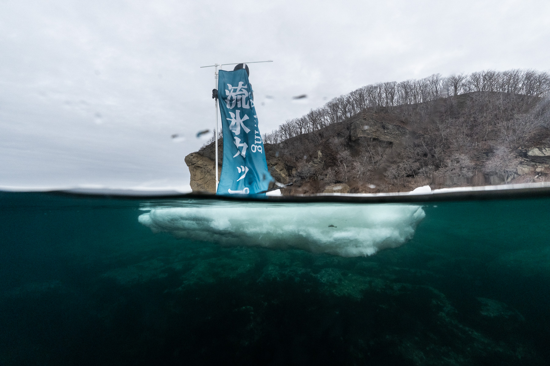 2026知床半島流冰冰潛