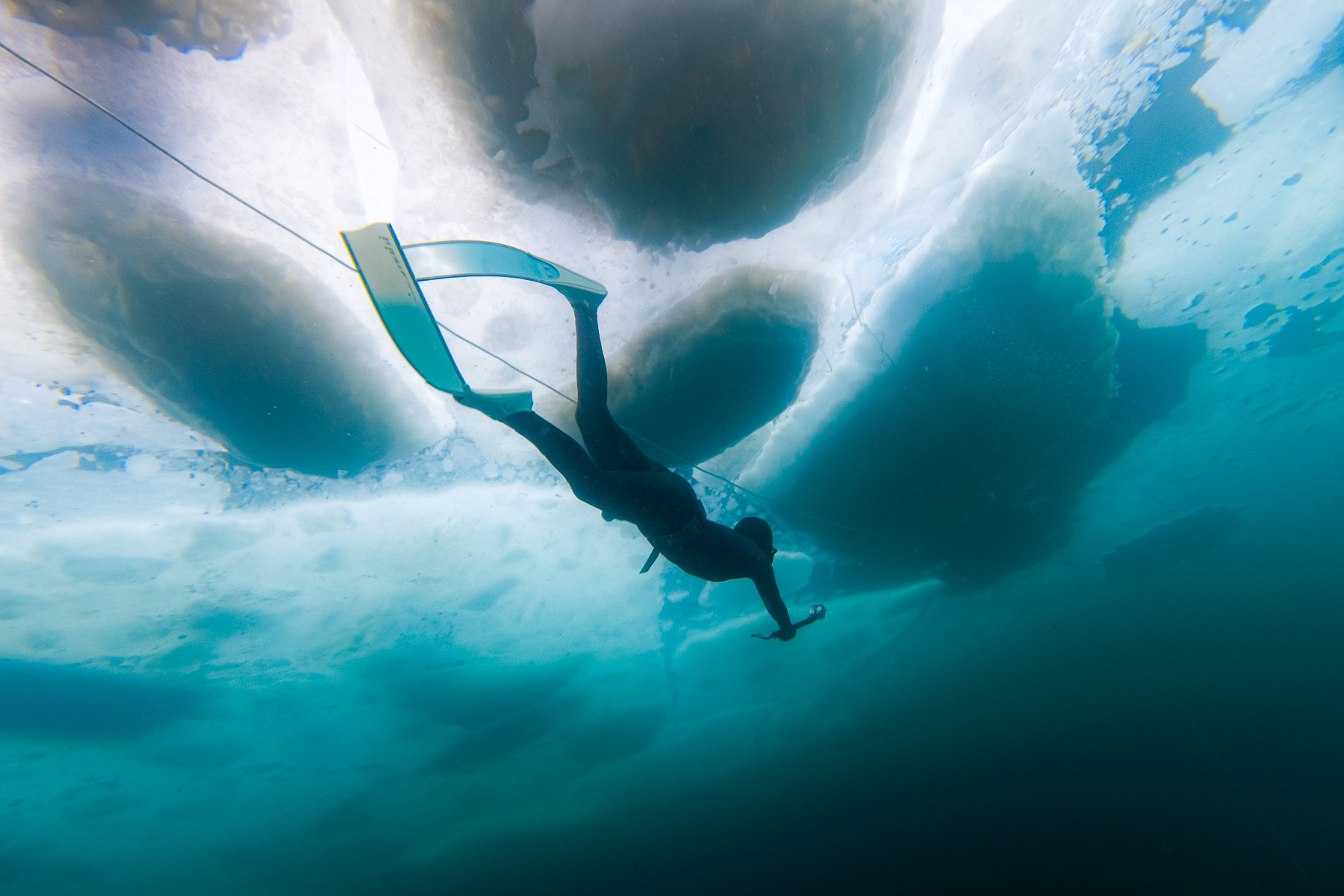 2026知床半島流冰冰潛