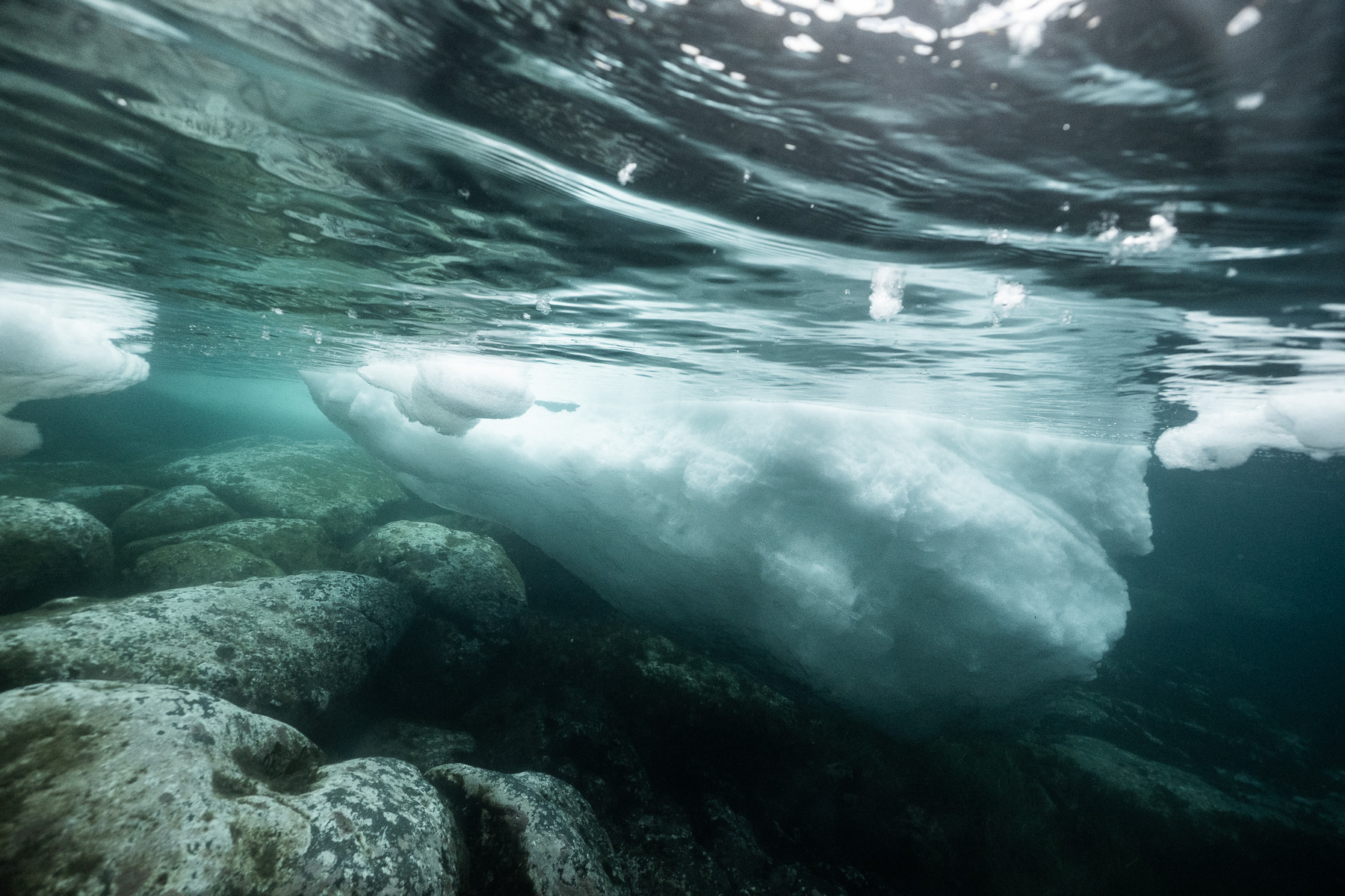 2026知床半島流冰冰潛