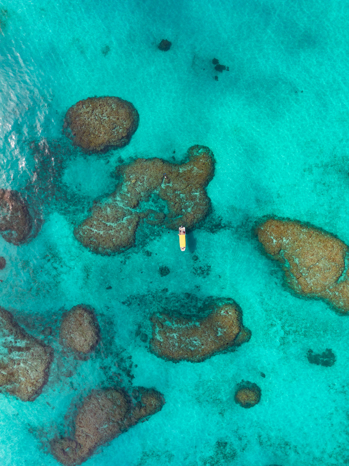 西表島 石垣島 船潛
