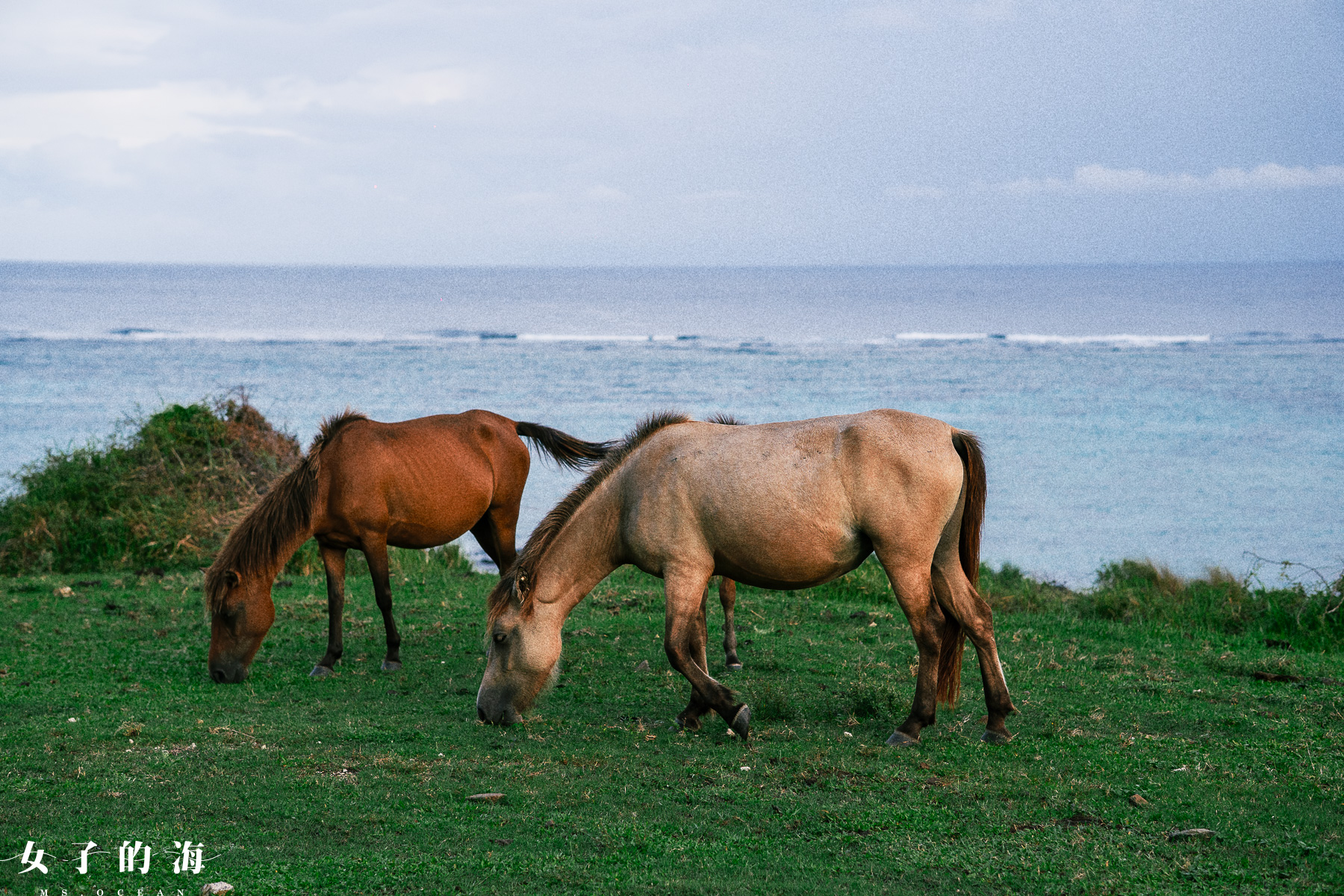 石垣島馬場