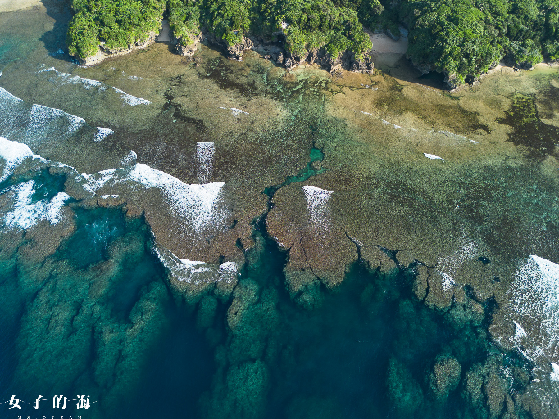 石垣島 青洞