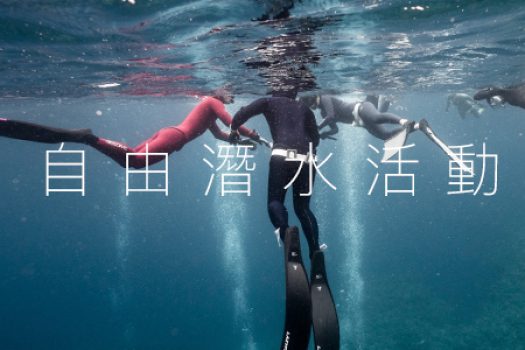 MsOceanBoard-m2-2 MsOceanBoard-m2-2